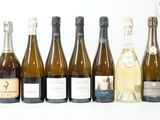 plusieurs bouteilles de vin sont alignées sur une surface blanche