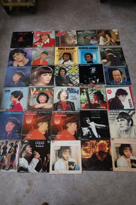 30 vinyles 33 tours Serge Lama, C Jérôme, Mike Brandt, Marce…