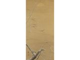 a painting of a tree branch with birds flying in the sky