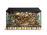 an image of a fish tank filled with lots of different types of fish