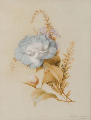 une image représentant une peinture d'une fleur sur fond blanc