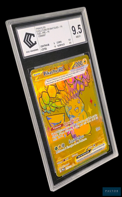 La carte Pokémon se trouve dans un étui en plastique transparent sur fond noir.