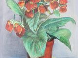 painting of a potted plant with red flowers on a blue surface