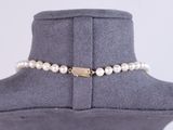 a close up of a necklace on a mannequin with pearls