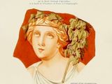 the cover of the book la vignee dans l ' antiquite