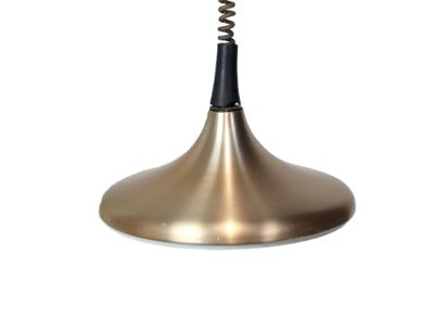 ERCO Suspension modèle Tulip en aluminium brossé.