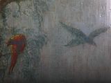 a painting of a bird and a parrot on the wall
