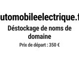 Photo 1/1 du lot