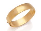 a close up of a gold ring on a white background
