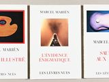 Photo 4/8 du lot