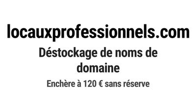 Nom de domaine locauxprofessionnels.
