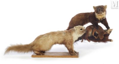 trois peluches empilées les unes sur les autres
