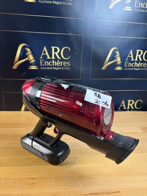 Balai multifonction Rowenta X-Force Flex 9.60 Complete RH209…