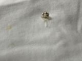 a small bug that is sitting on a piece of paper