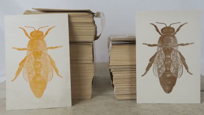 deux cartes sur lesquelles figurent une image d'abeille et une abeille