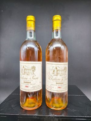2 Bts CHATEAU SUAU(ME,efs,ca) 1 GCC Barsac 1982