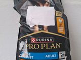 the bag of prop plan dog food is sitting on the counter