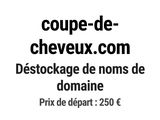 Photo 1/1 du lot