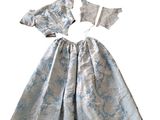 a picture of a dress made of silver and blue brocade