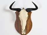 an animal head mounted on a wooden plaque with horns