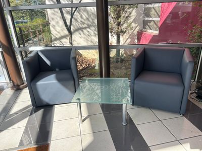 (Au RDC) : 2 fauteuils, 1 table basse