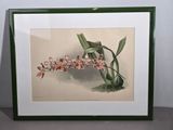 framed picture of a plant with red and white flowers in a green frame