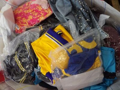 un bac en plastique rempli de vêtements et d'autres objets