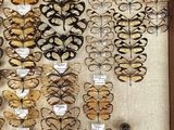 many different types of butterflies displayed in a wooden frame