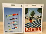 two bags that have different types of kites on them