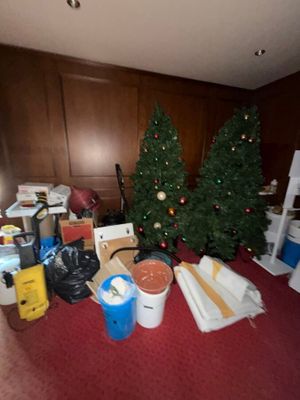 a christmas tree in the corner of a living room