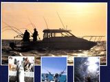 the cover of the book la peche a la traine by jan olson