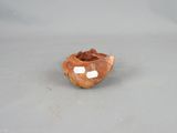 a small clay bowl with a sticker on it