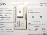 a certificate with a picture of a diamond on it
