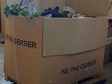 Photo 2/2 du lot