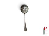 une cuillère ornée d'un coquillage, posée sur une surface blanche