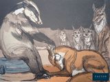 a drawing of a badger and a fox on the ground