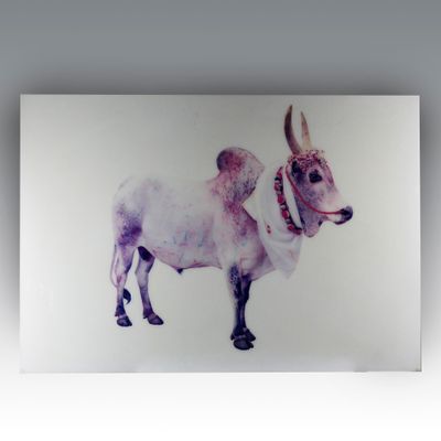 une photo d'un tableau représentant une vache accroché au mur