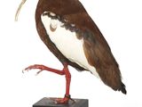 un oiseau perché au sommet d'un bloc