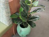 a plant in a green vase on the corner of a couch