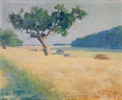 tableau représentant un champ avec un arbre solitaire au milieu