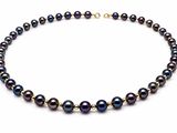a black pearl necklace with a gold clasp