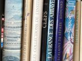 many books that are sitting on a shelf next to each other