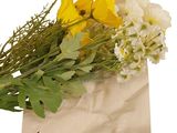 un sac contenant des fleurs, sur fond blanc