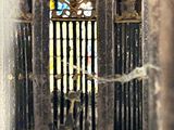 a bird that is standing in front of a gate