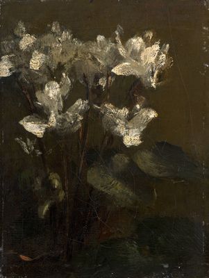 tableau représentant des fleurs blanches dans un vase en verre posé sur une table