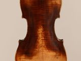 a violin with a wooden back and a long neck