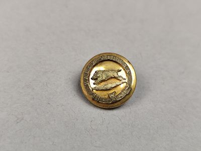un gros plan sur un bouton doré orné d'un ours