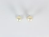 une paire de boucles d'oreilles en perles sur fond blanc