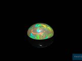 an oplite in the dark with a black background