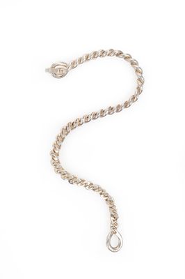 silver chain with a clasp on a white background